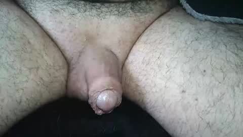 dapppper online show from June 11, 11:19 am