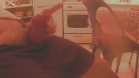 dardardar34 online show from November 15, 11:07 pm