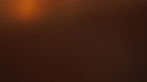 davdao3 online show from October 22, 6:17 am