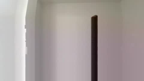 davepil29 online show from November 15, 11:01 am