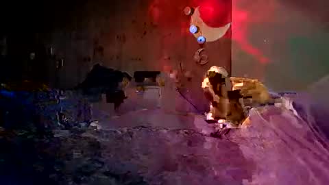 den2807 online show from February 12, 10:49 pm