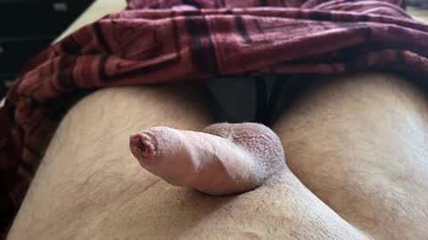 Snapshot of denis647 chatting on October 9, 1:27 pm LilRoach online show from October 9, 1:27 pm