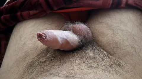 Snapshot of denis647 chatting on September 16, 1:01 pm LilRoach online show from September 16, 1:01 pm