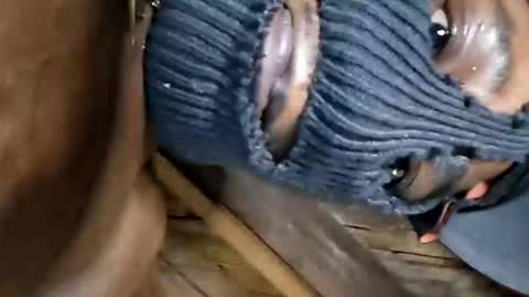 Marcus D-von Steel online show from October 2, 7:12 am