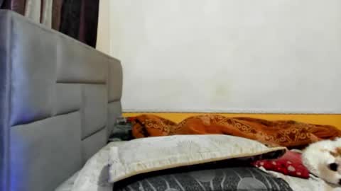 Snapshot of dick_demon_1 chatting on March 7, 6:33 pm jhon online show from March 7, 6:33 pm