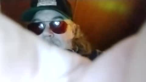 Dickbowen online show from January 16, 8:44 pm