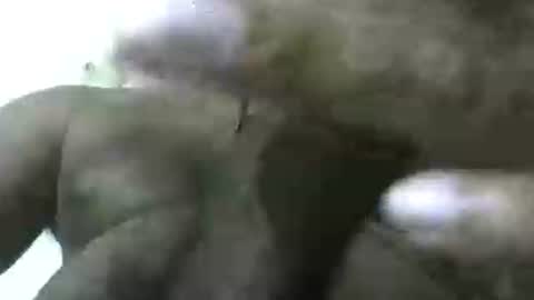 dick rus online show from December 5, 3:24 am