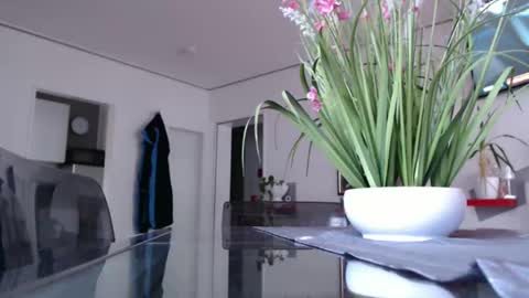 Snapshot of didiegal chatting on December 7, 2:02 pm squirtcock online show from December 7, 2:02 pm