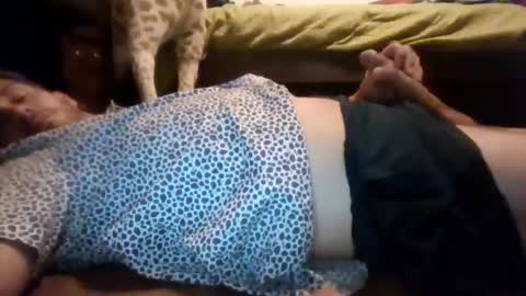 djbigfish24 online show from November 9, 5:11 am