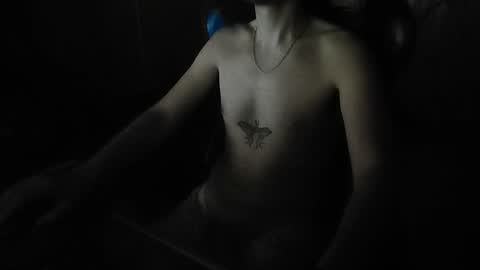 dmez online show from December 13, 4:11 am