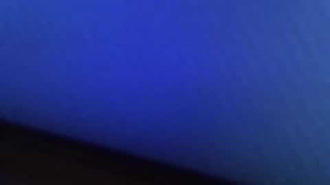 dn10 online show from February 8, 9:56 am