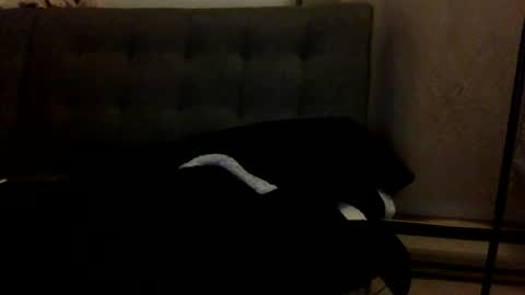 DominiCambo8990 online show from March 11, 1:05 am