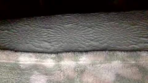 doublerandco online show from November 17, 3:04 pm