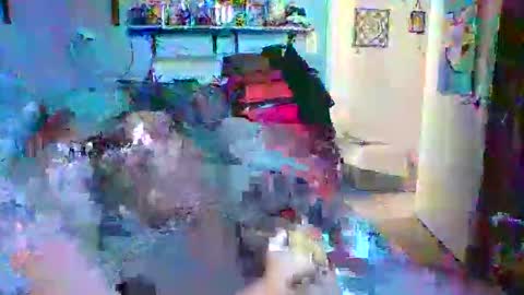 Dpenguino online show from November 10, 6:35 pm