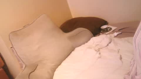 Snapshot of drfeelgood777 chatting on October 6, 4:17 am Dr. Feelgood online show from October 6, 4:17 am