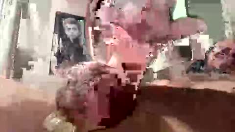 droppingloads82 online show from March 8, 9:13 am