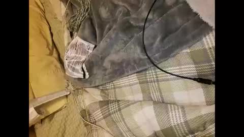 dtulchinsky online show from February 4, 5:08 pm