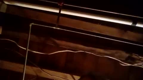 dukers123ddangel online show from February 20, 12:15 pm