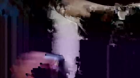 dwadek081704 online show from October 23, 3:10 am