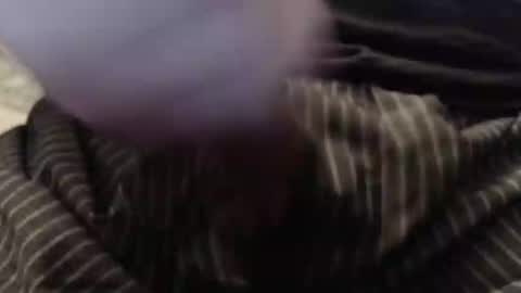 eat_a_peach2 online show from November 23, 12:16 pm