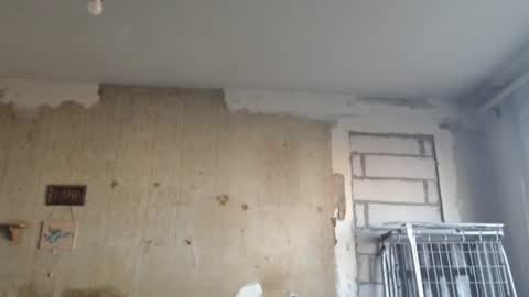 Alexander online show from February 12, 1:16 pm