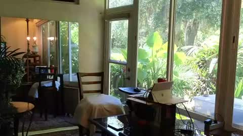 eliberator online show from June 28, 6:36 pm