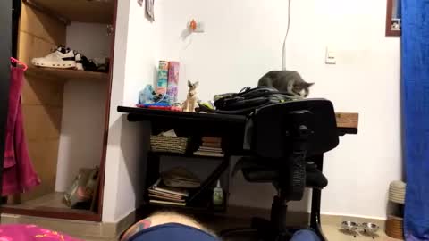 elkinjose182112 online show from February 9, 4:50 am