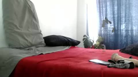 elputoquetegusta online show from January 12, 5:33 pm