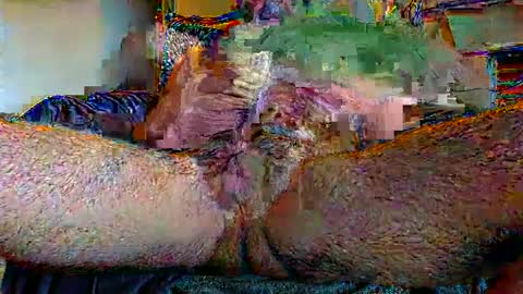 Snapshot of exquis chatting on December 14, 11:39 am exquis online show from December 14, 11:39 am