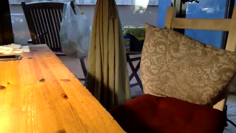 Fabro online show from April 12, 5:47 pm