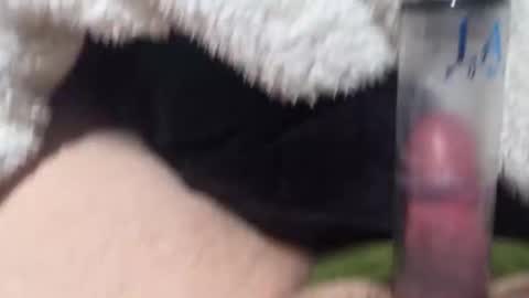 Falcon online show from April 28, 9:19 pm