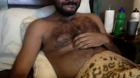 HairyBrownGuy online show from February 2, 2:25 pm