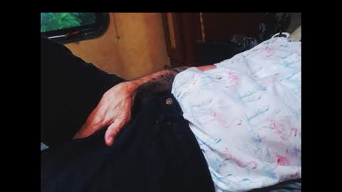 ferra_testarossa online show from September 23, 4:28 pm