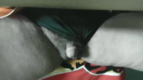 Fish online show from December 3, 10:15 am