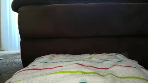 floridabbcfun online show from December 9, 3:12 pm