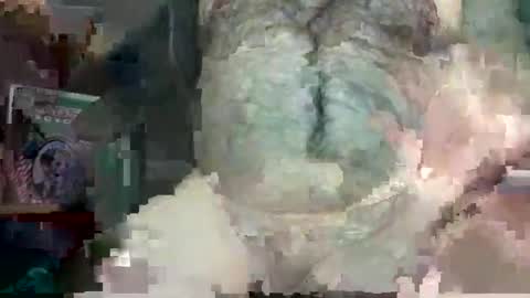 Frankie online show from September 22, 4:50 pm