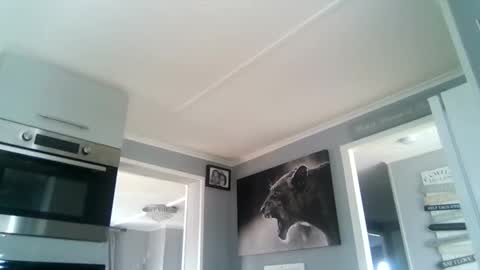 bob online show from October 22, 12:31 pm