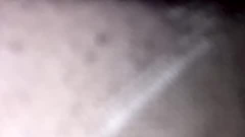 Allwant online show from February 2, 12:13 pm