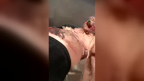 Hairy Potter online show from March 20, 5:17 pm