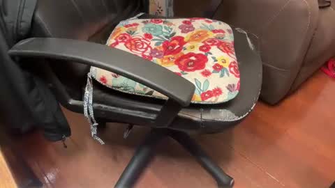 Marco online show from February 20, 11:09 am