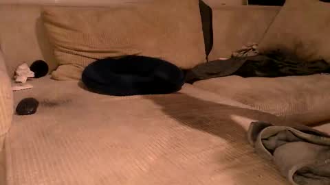 Lassmiranda online show from September 15, 10:55 pm