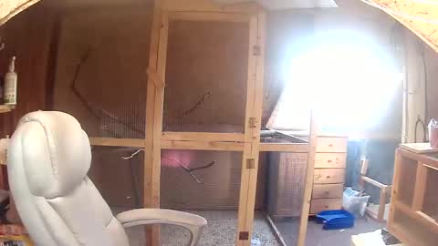 germany_50 online show from September 20, 6:35 am