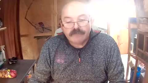 germany_50 online show from December 2, 11:32 am