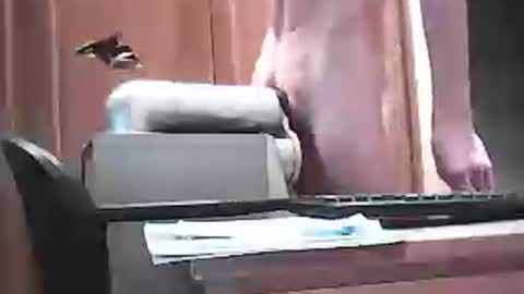 Ginooo online show from June 17, 12:51 pm