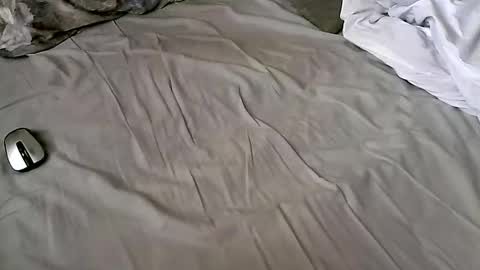 giorgibbbgioribbb online show from February 22, 7:56 am