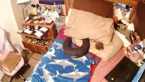 Snapshot of goodbootaye chatting on October 10, 8:35 pm Juicy Booty online show from October 10, 8:35 pm