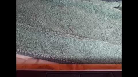 goodboy online show from December 8, 3:45 pm