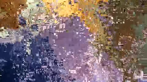 gravybaby333 online show from March 18, 11:35 am