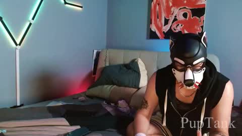 Snapshot of growingcub94 chatting on October 11, 5:11 am Alpha pup online show from October 11, 5:11 am
