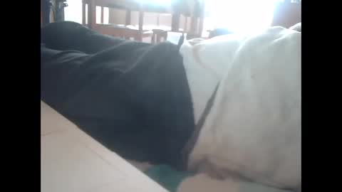 guizmeau72 online show from March 11, 3:34 pm